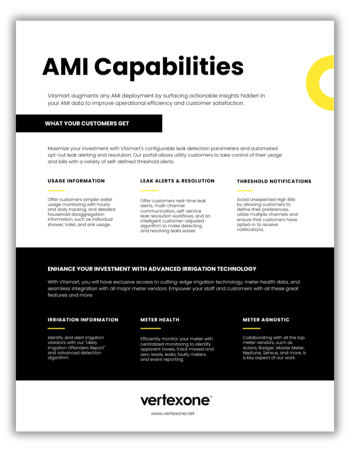 AMI Capabilities with VXsmart, VertexOne