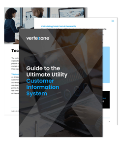 CIS-Guide-2020-mockup