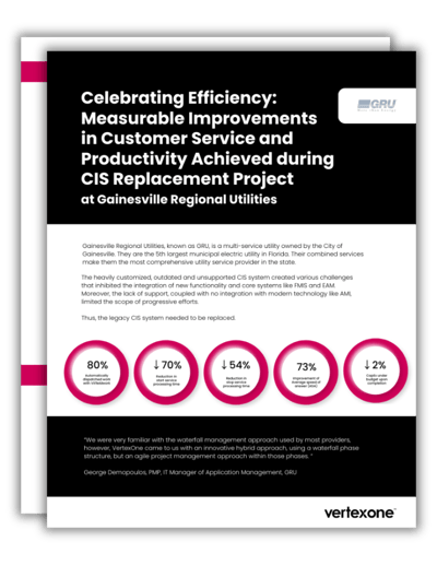 Celebrating Efficiency  Measurable Improvements  in Customer Service and Productivity Achieved during  CIS Replacement Project