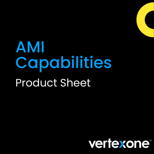 AMI Capabilities with VXsmart