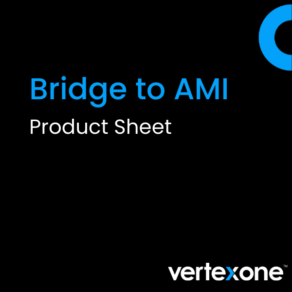 Navigating the Bridge to AMI Brochure