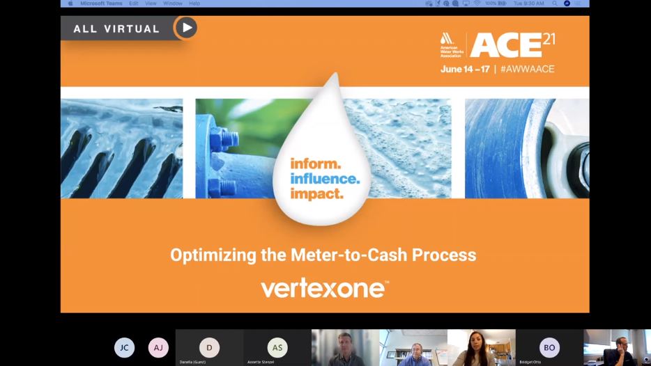 VertexOne ACE21 Virtual Session: Optimizing the Meter to Cash Process