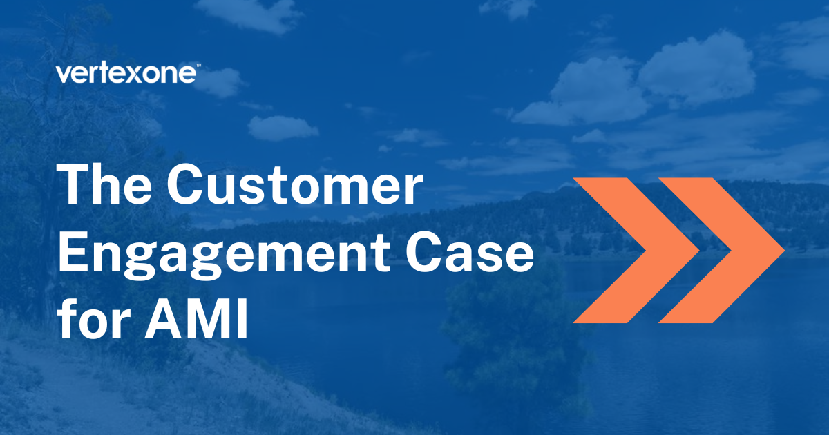 The Customer Engagement Case for AMI
