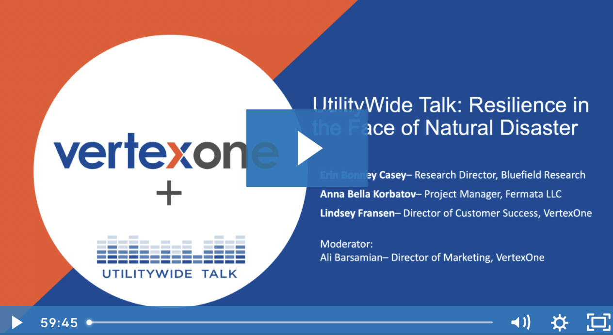 UtilityWide Talk: Resilience in the Face of Natural Disaster