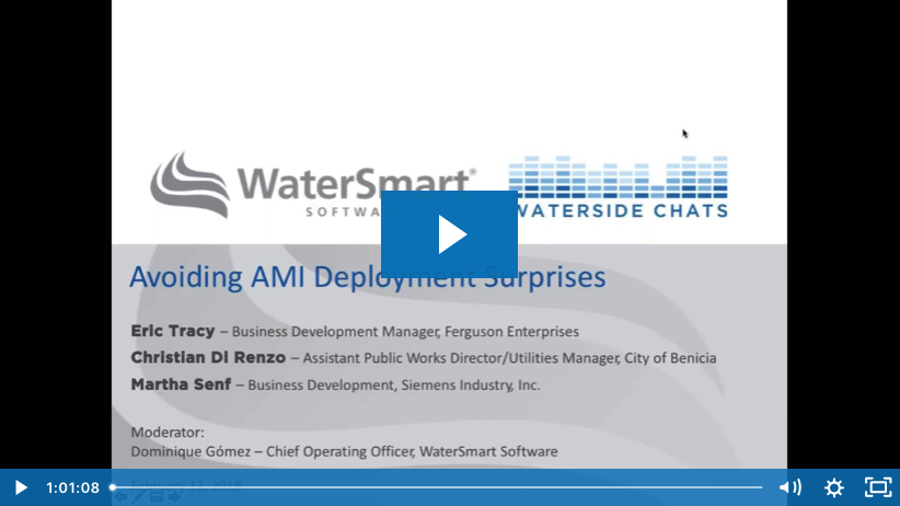 On-Demand Webinar: Avoiding AMI Deployment Surprises