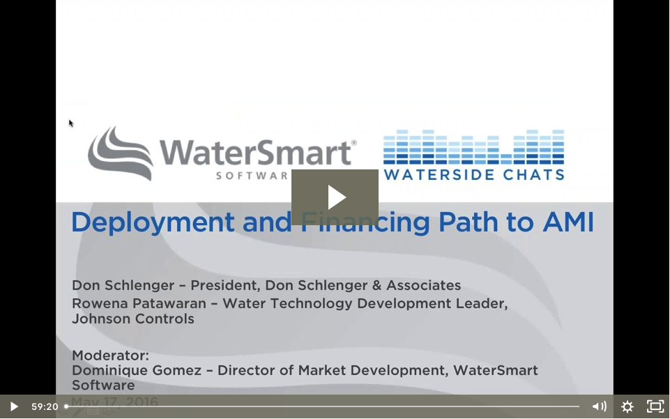 Webinar: The Deployment and Financing Path to AMI
