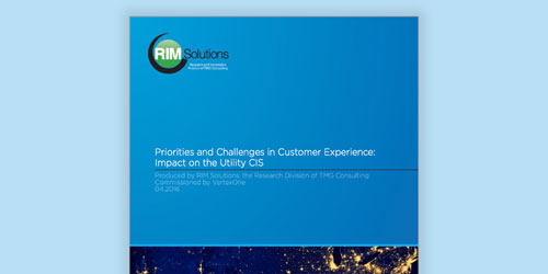 Priorities and Challenges in Customer Experience-Impact on the CIS
